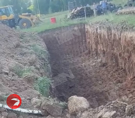 В Лежневском районе коровы заболели опасной болезнью